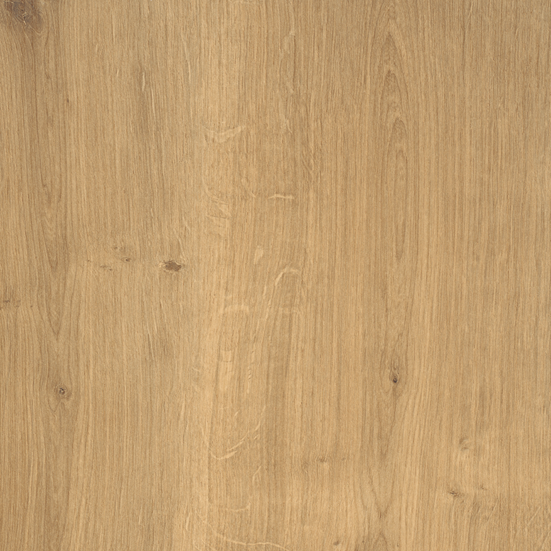 Korpus K75 – Asteiche natur